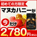 モニター