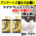 モニター
